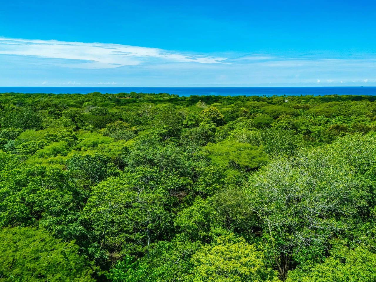 Expansive Land at an Affordable Price - photo 10