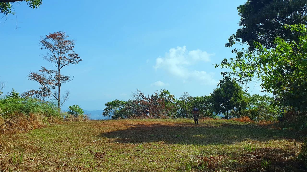 CONSERVATION AND DEVELOPMENT LAND WITH OCEAN VIEW IN SIERPE, COSTA RICA - photo 26