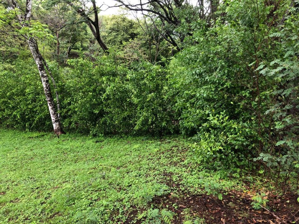 Lot in exclusive Residential, close to Beach Tamarindo - photo 29