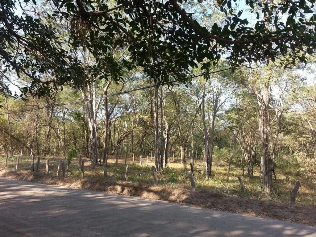 Large Commercial Development Property with Incredible Ocean Views in Playa Conchal, the Famous Gold Coast of Guanacaste - photo 8