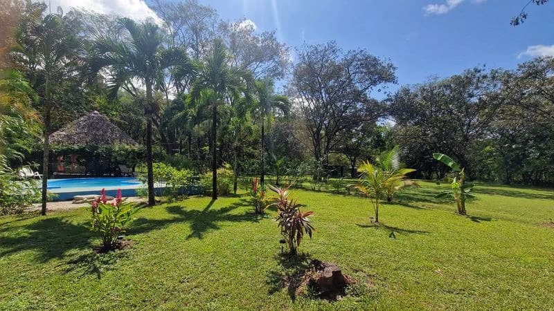 Casas Jungle: Charming Rental Compound with 5 units & pool in the heart of nature, minutes from Samara’s beaches - photo 2
