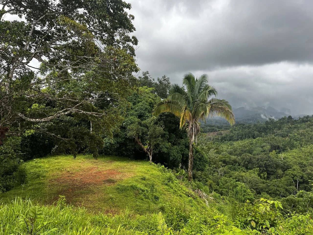 SPECTACULAR ECOLOGICAL MOUNTAIN FARM IN BIJAGUAL DE TURRUBARES - photo 30