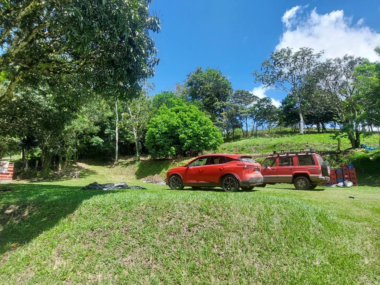 FINCA LA TEJONA - photo 19