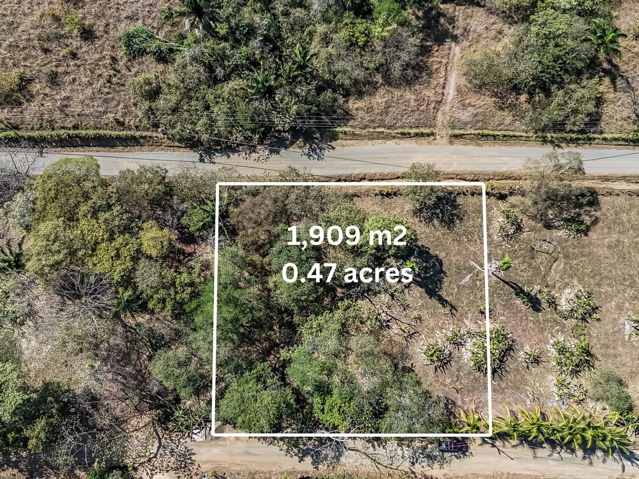 Lote Camaronal Natural: Half Acre Lot Just Mins to the Surf - photo 15