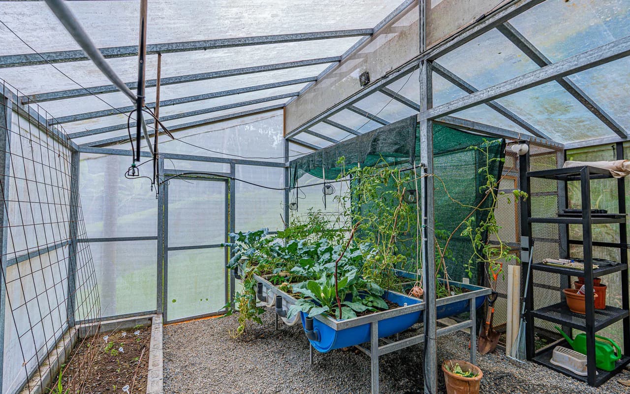 Off Grid Riverfront Micro Regenerative Organic Homestead Tinamastes - photo 72