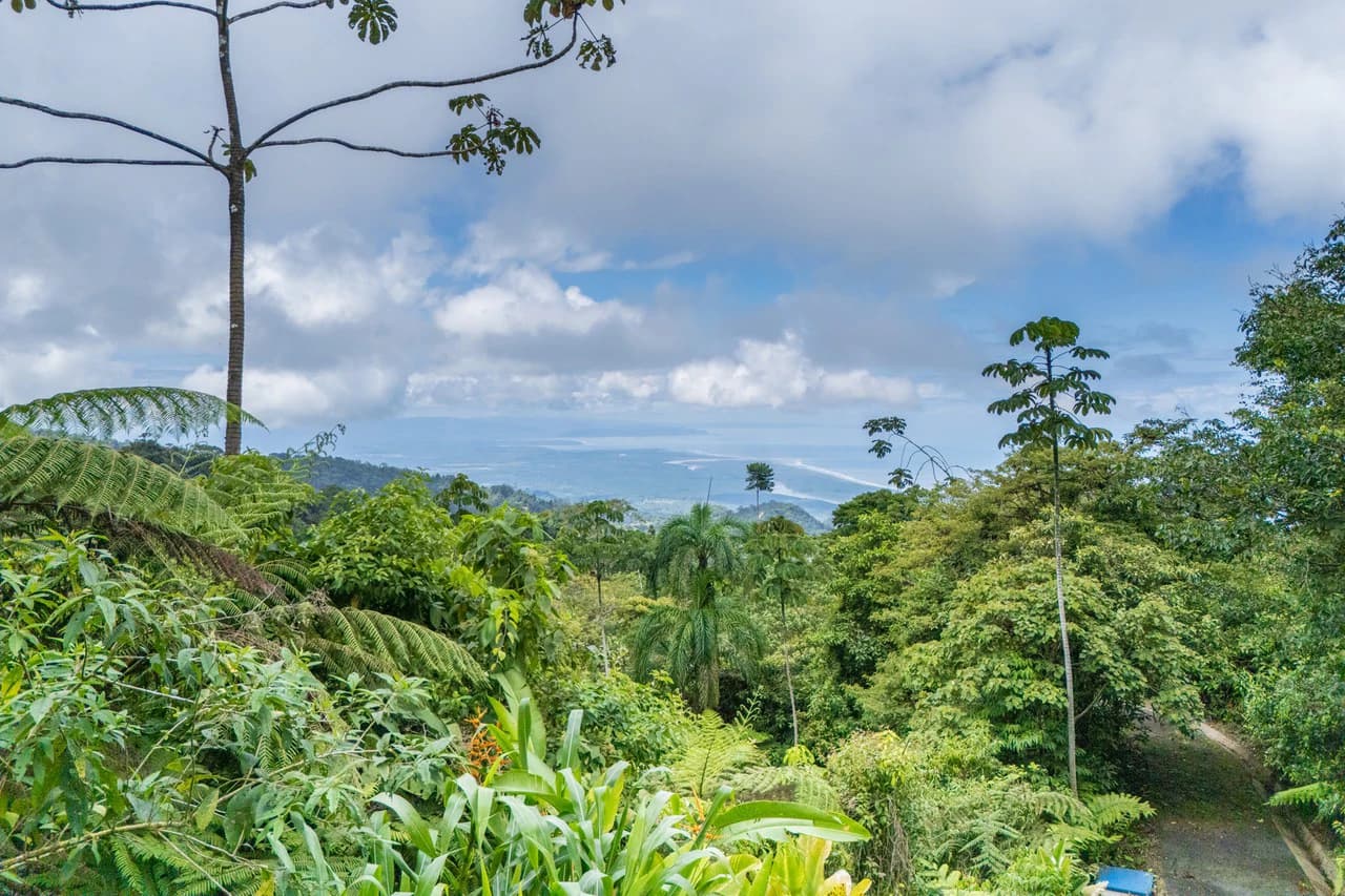Near the Coast Home Construction Site For Sale in Ciudad Cortés - photo 3