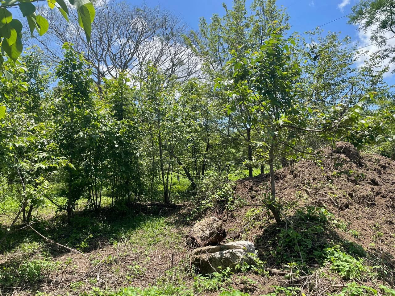 Building lots for sale, 6 available properties 10 minutes away from Liberia - photo 10