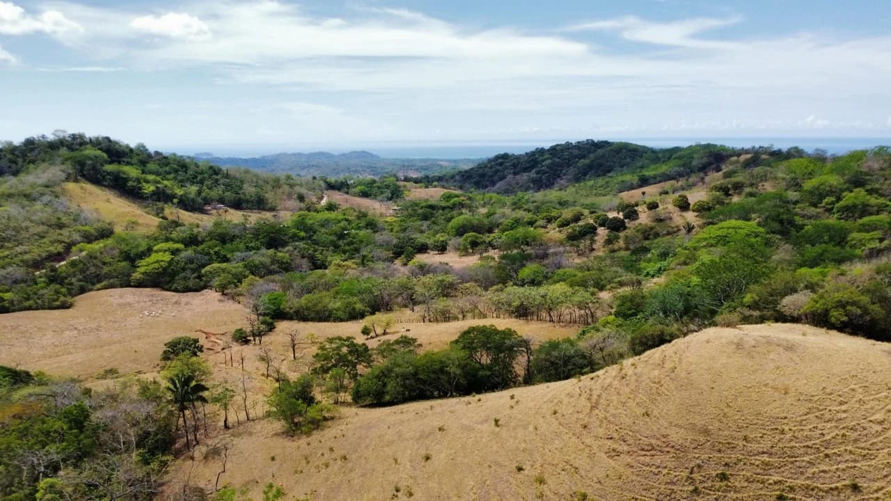 37-Hectare Ocean View Development Property Near Sámara, Buena Vista & Barrigona - photo 1