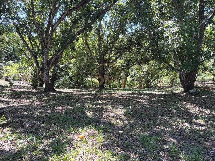 FOR SALE / Land in Coyolar, Orotina, Alajuela - photo 9