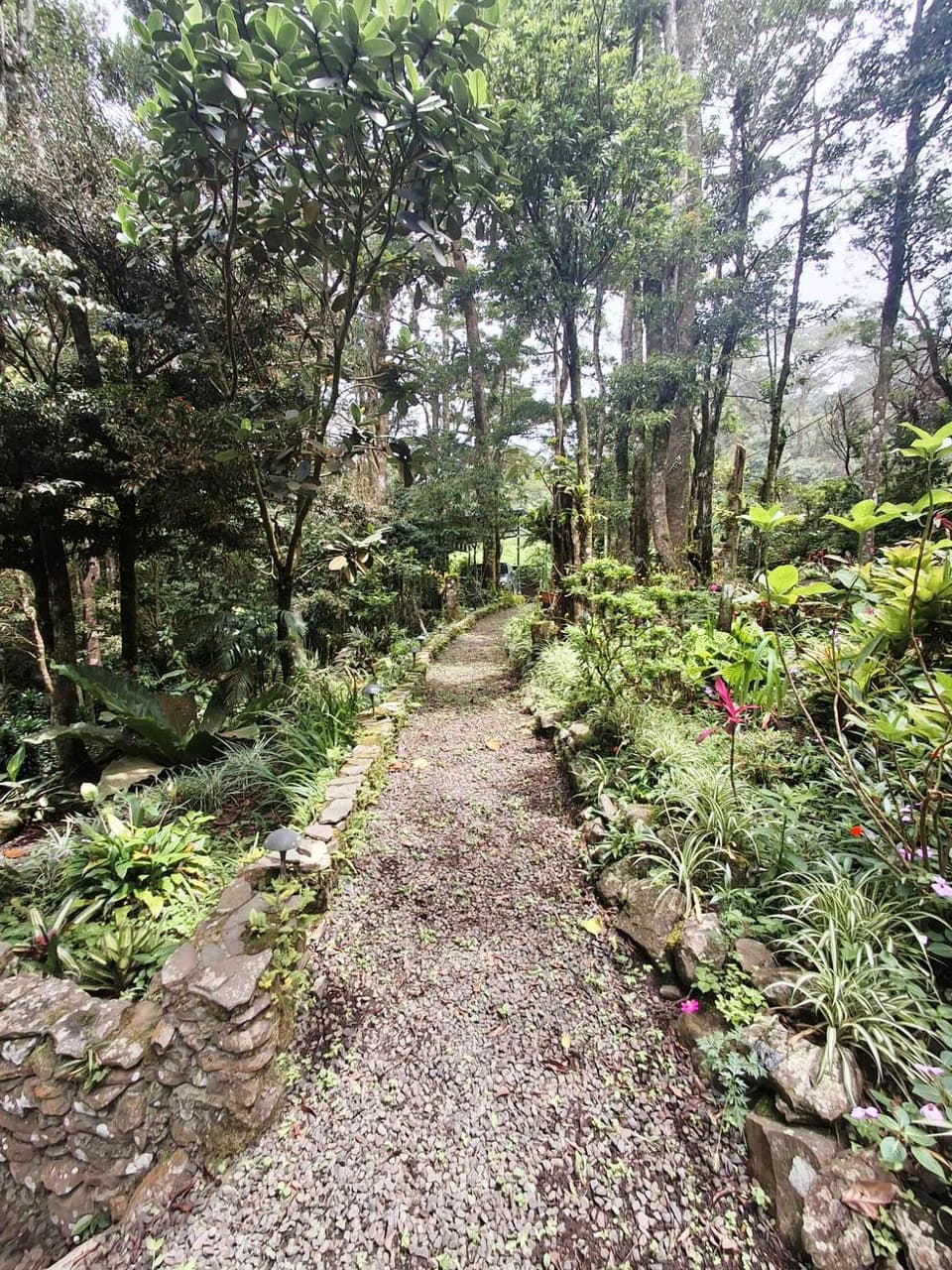 Casa Monte Verde: A LUXURY RAINFOREST HOME - photo 40