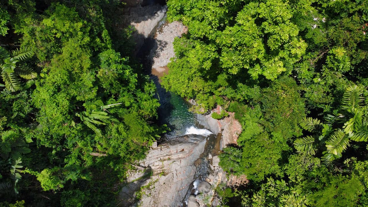 FINCA CERRO DEL TIGRE! OVER 20 ACRES OF PRIMARY FOREST AND WATERFALLS.: Mountain Agricultural Land For Sale in La Unión - photo 14
