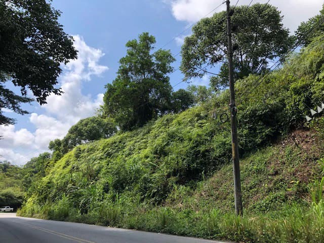 6.5 ACRES – Space To Grow, Build & Thrive, Close To The Beach & Commercial Potential Road Frontage!!!!!: Mountain and Countryside Development Parcel For Sale in Platanillo de Dominical - photo 20