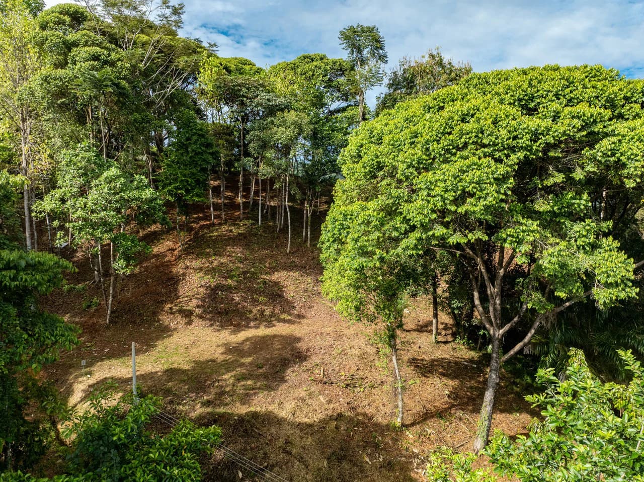 2.9 Acre Paradise with Diamante Valley Views Dominical - photo 16