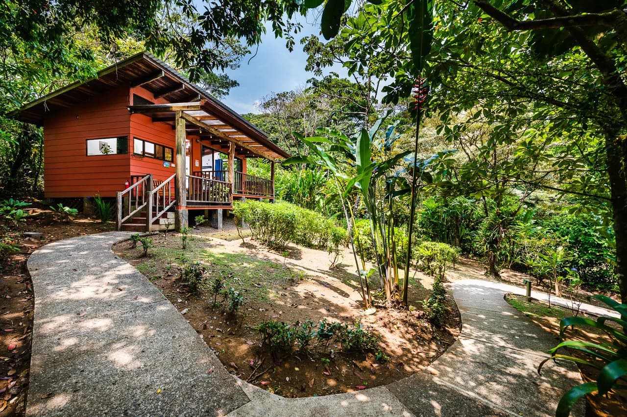 Casitas Tenorio B&B: Turnkey Eco-Lodge in Bijagua: Profitable Business, Sustainable Luxury, and Breathtaking Nature - photo 44