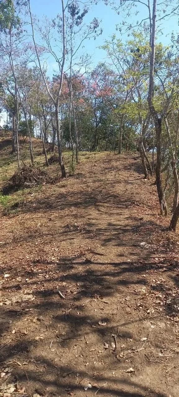 $2,200,000USD hectares: Ocean View Development Land for Sale in Tambor Costa Rica – 58 Hectares on the Nicoya Peninsula - photo 6