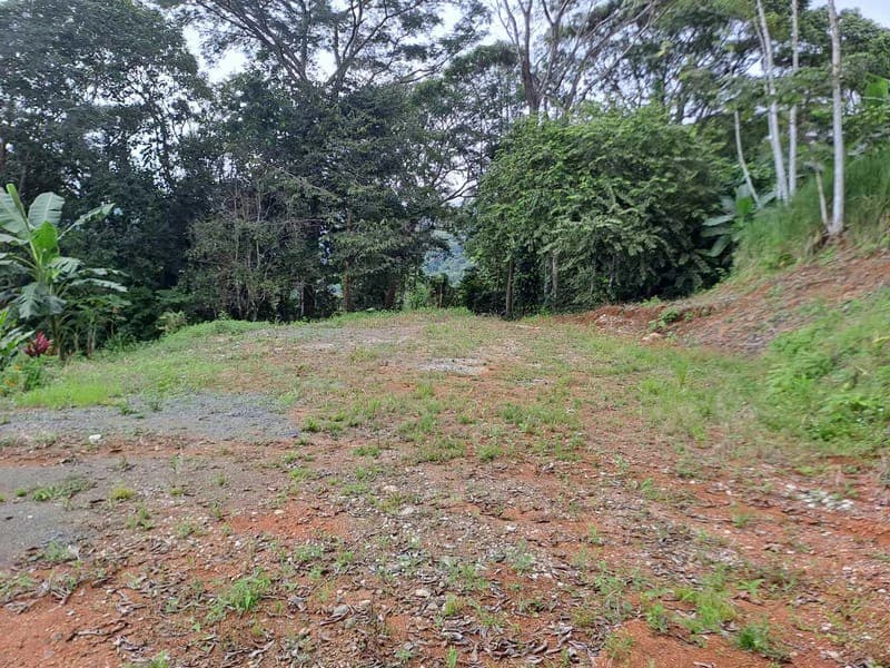 Where Ocean Vistas, Jungle Symphony, and Mountain Breezes Unite! - photo 4