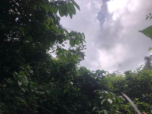 Hot and Cold Thermal Springs for Sale – Beautiful Property in Dos Ríos, Alajuela with Excellent Commercial Potential - photo 37