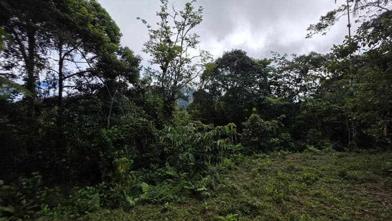 116-Hectare Finca for Sale Near Uvita with Whales Tail Views and 10 Waterfalls | La Faralla, Bahia Ballena, Uvita, Puntarenas, Costa Rica - photo 15
