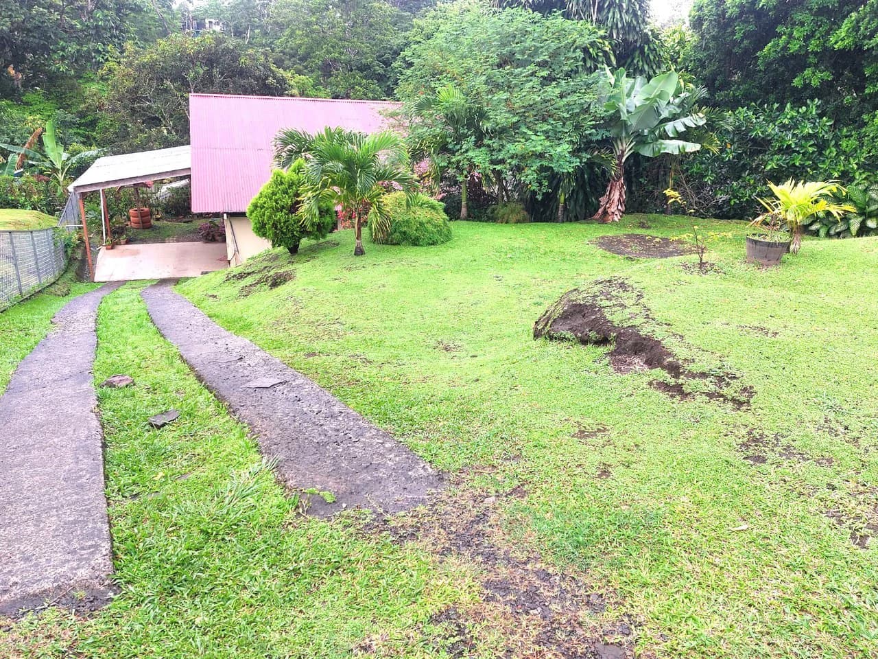 CASA LEO - Home in Town - photo 20