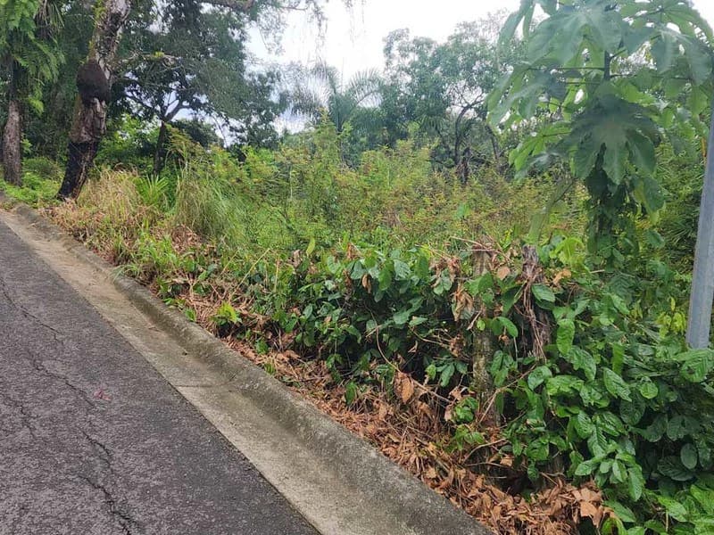 Subdividable lot in Manuel Antonio - photo 5