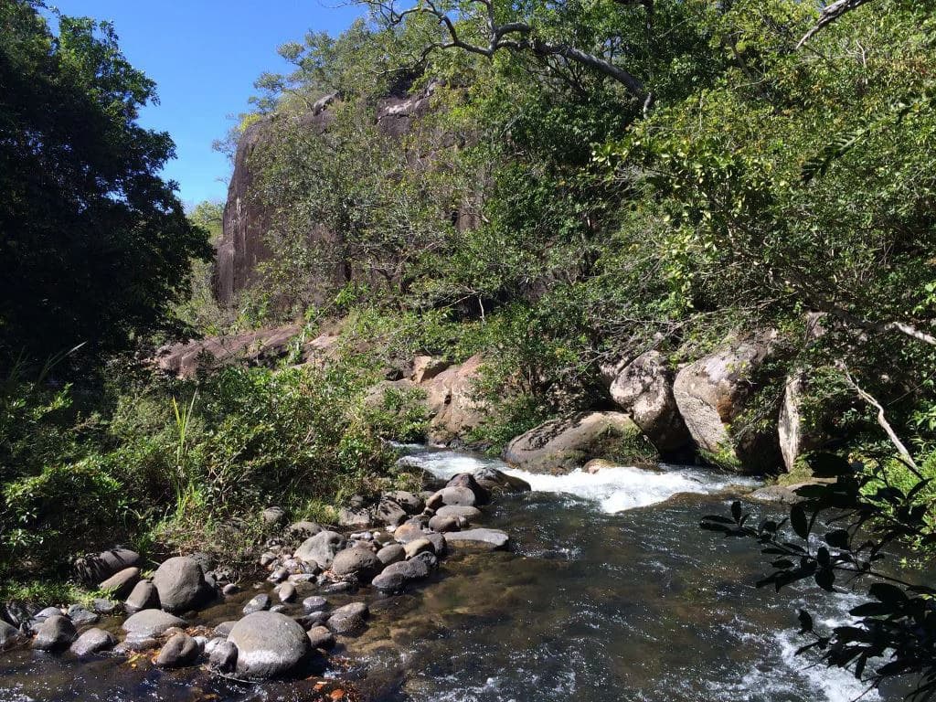Large Property in Curubandé of Liberia - photo 14