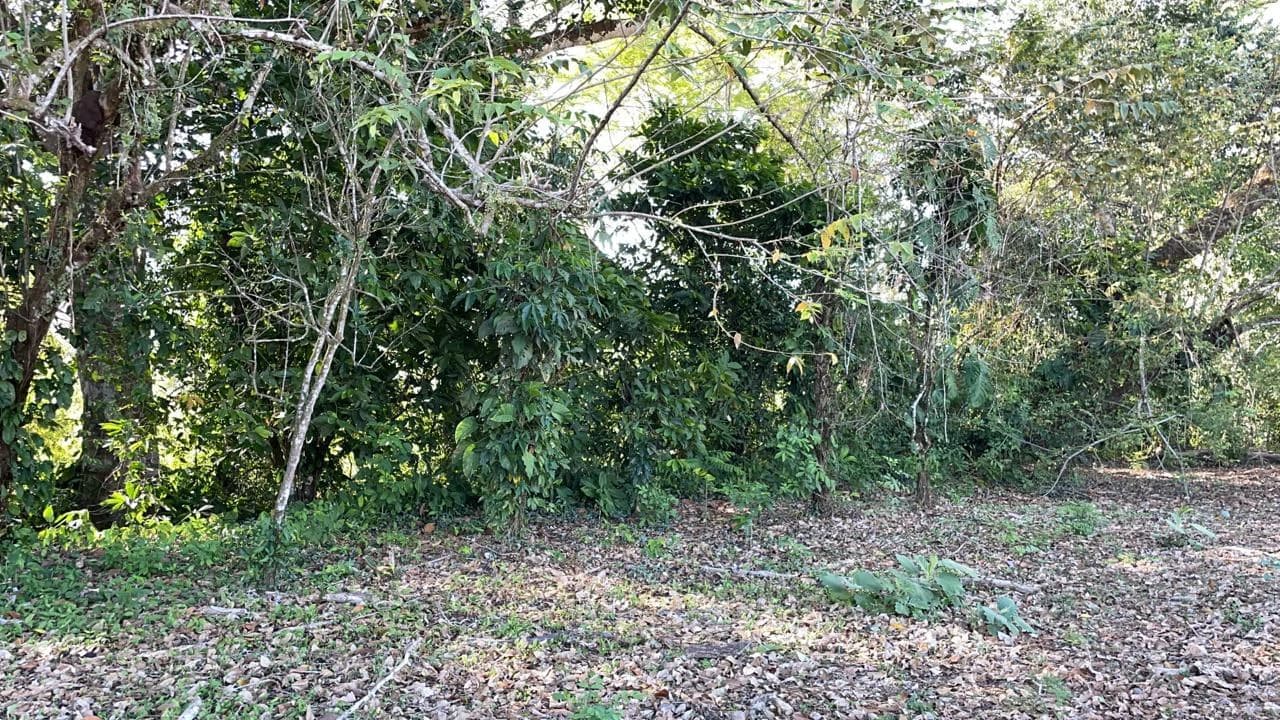 Development Property. Playa Herradura. Costa Rica - photo 5
