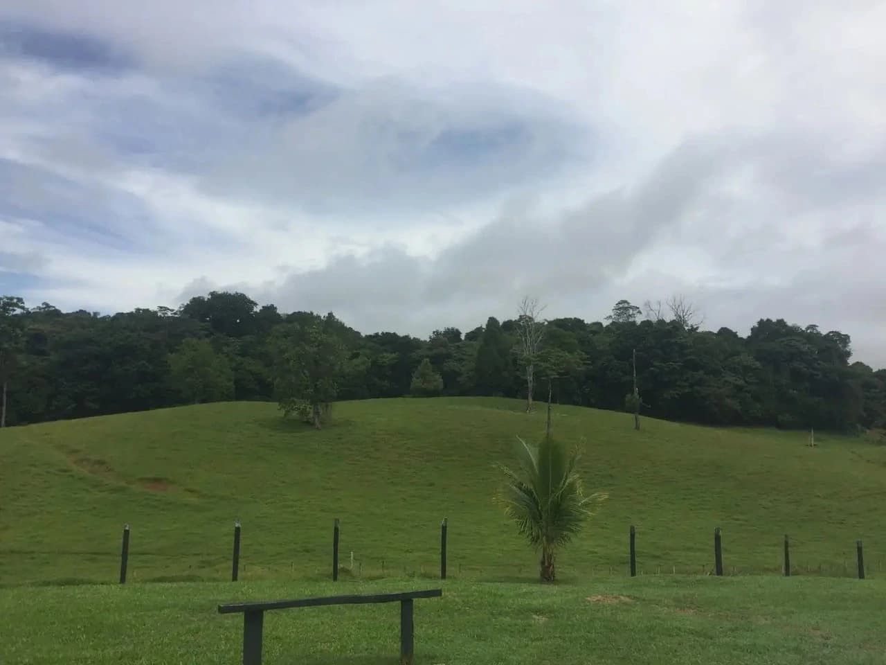Expansive 83-Hectare Agricultural & Ranch Land in Sarapiquí, Heredia