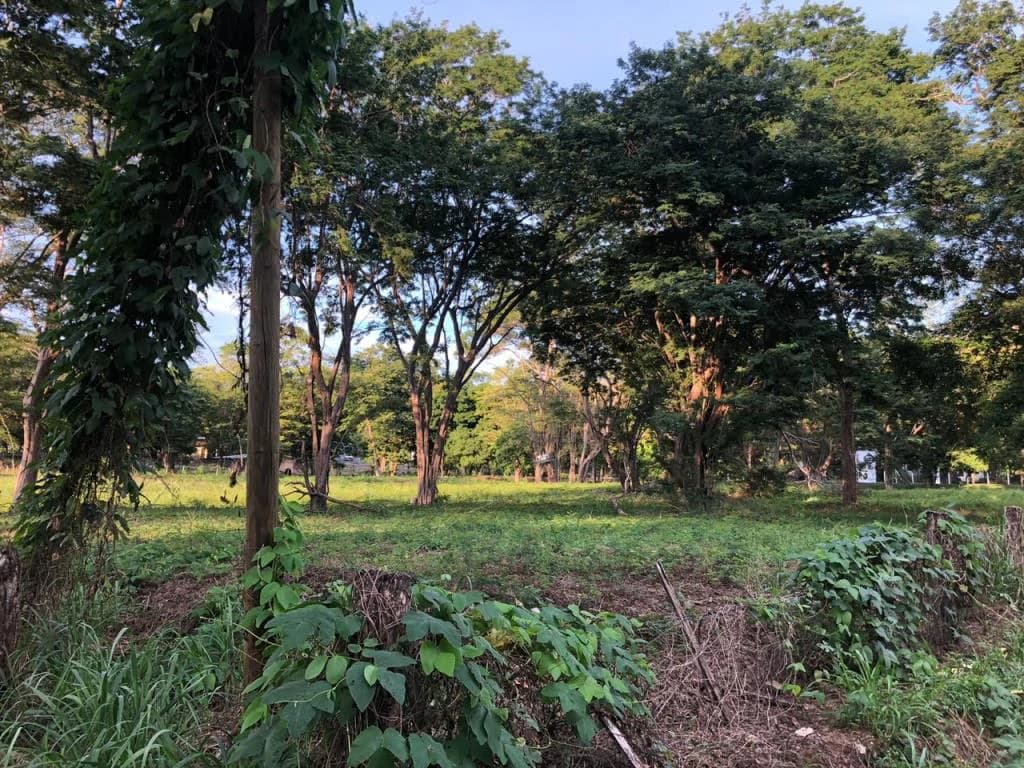 Large Commercial Property in Playa Hermosa, Guanacaste, Costa Rica - photo 11