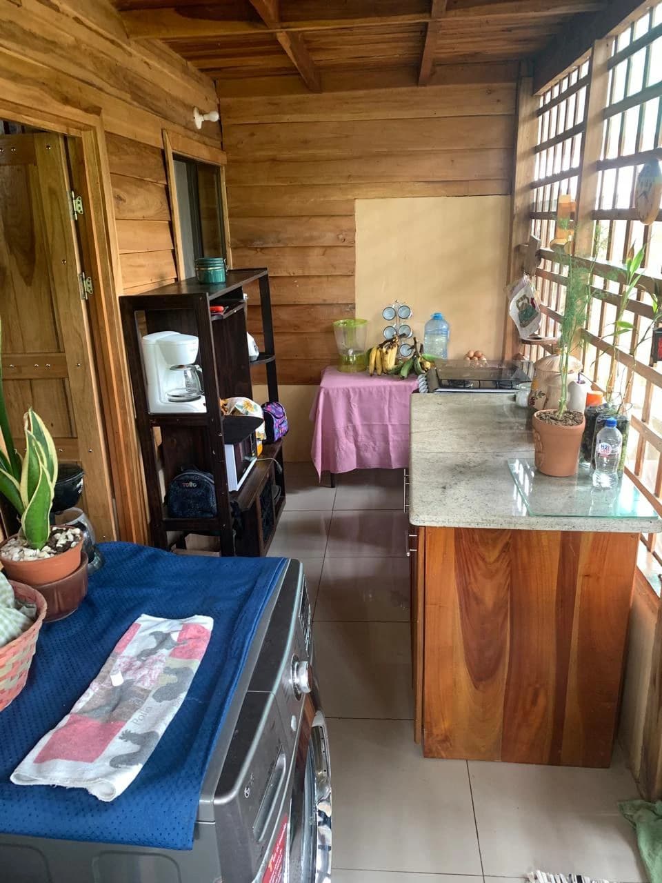 Charming Country Farmhouse with Profitable Ornamental Plant Farm: Great location near La Fortuna and Ciudad Quesada - photo 8