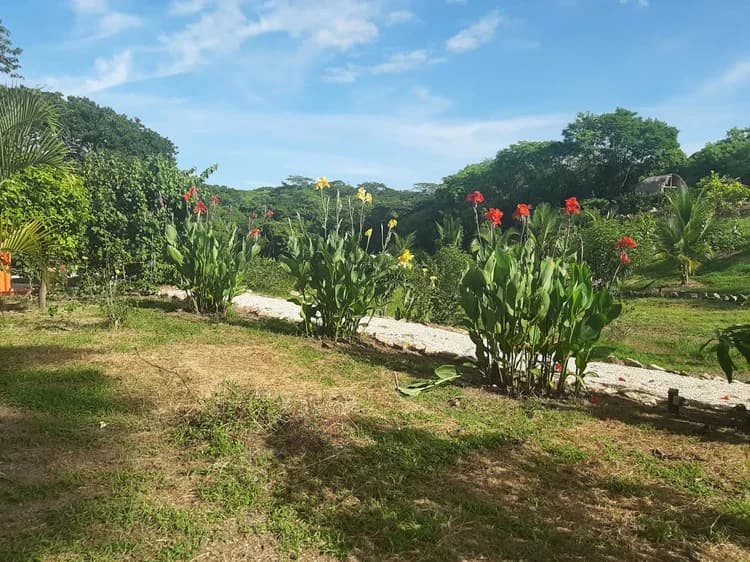 Organic Finca Eco Dreams: $799,000 USDOrganic Finca Eco Dreams – Sustainable Eco Farm for Sale Near Playa Naranjo, Costa Rica Luxury Self-Sustainable Farm, Solar-Powered Estate & Investment Property o - photo 35
