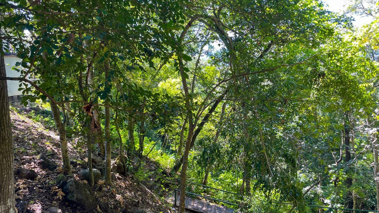 Lot for Sale in Escobal, Atenas- gravel road - photo 4