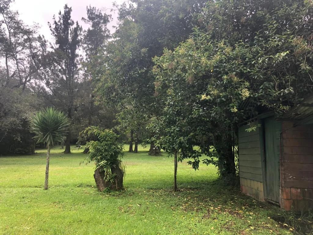 Horse ranch mountain farmland with its own stable's in San Rafael, Heredia - photo 16