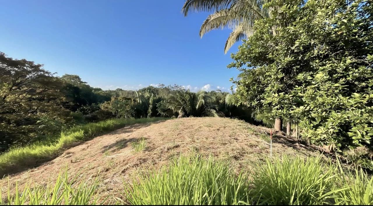 Exclusive Hermosa 1.2 Acre Lot with Panoramic Mountains and Ocean View. - photo 7