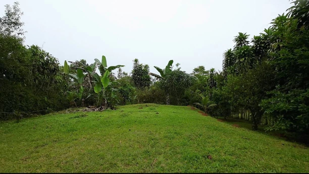LOTE EN VENTA ALTO SAN JUAN, COSTA RICA: Mountain Home Construction Site For Sale in Barú - photo 3