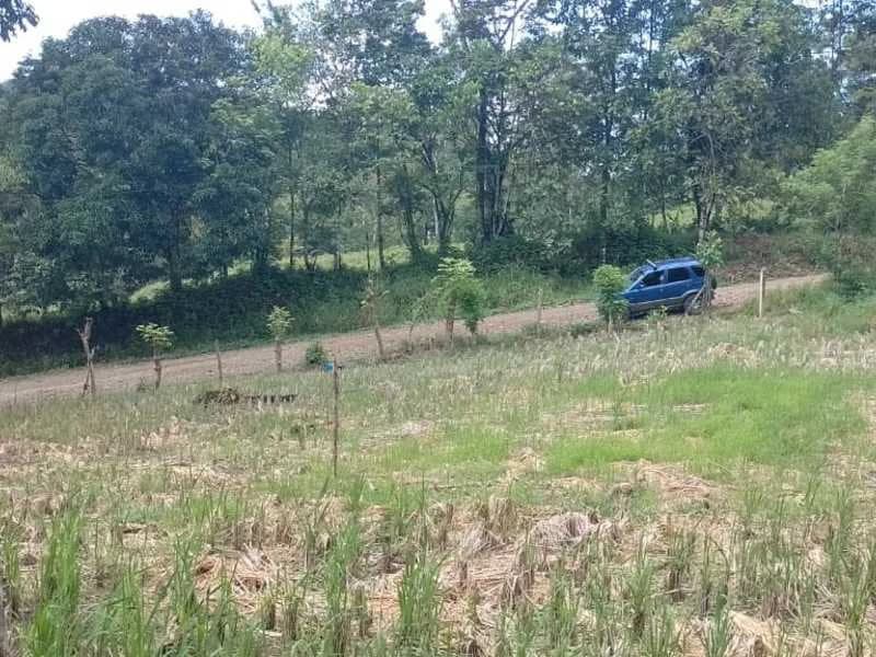 Stunning River & Jungle View Lot Ready To Build | Tres Rios, Coronado - photo 3
