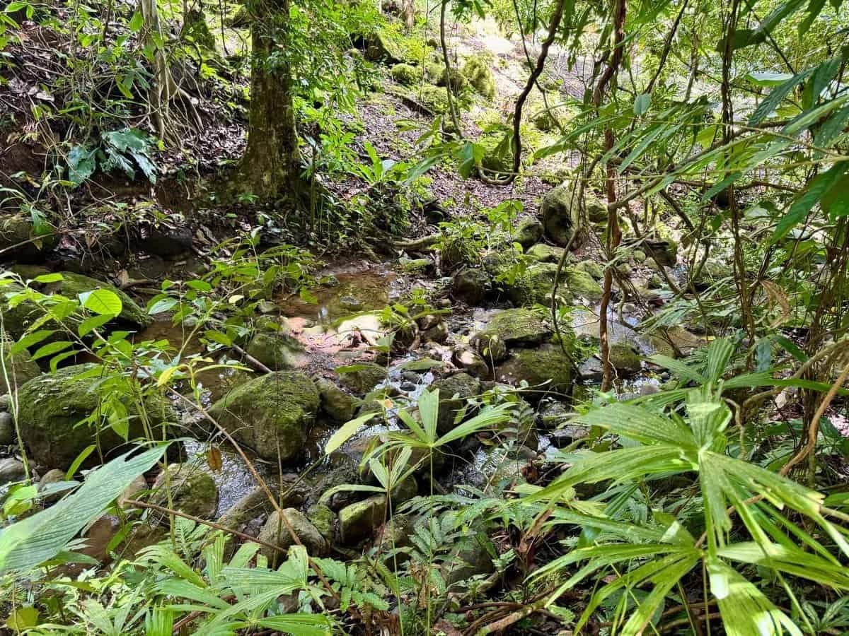 0.7 ACRES – Ocean View Lot With Creek Access, Public Road Frontage, All Utilities!!! - photo 3
