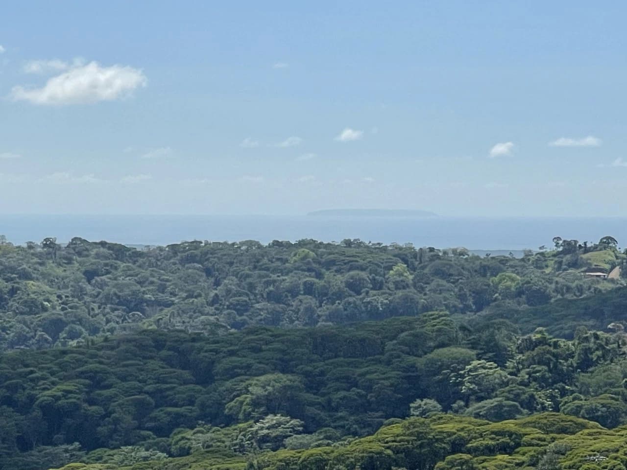 Sunset Ocean View Land with Cano Island Views: Home Construction Site For Sale in Ojochal - photo 12