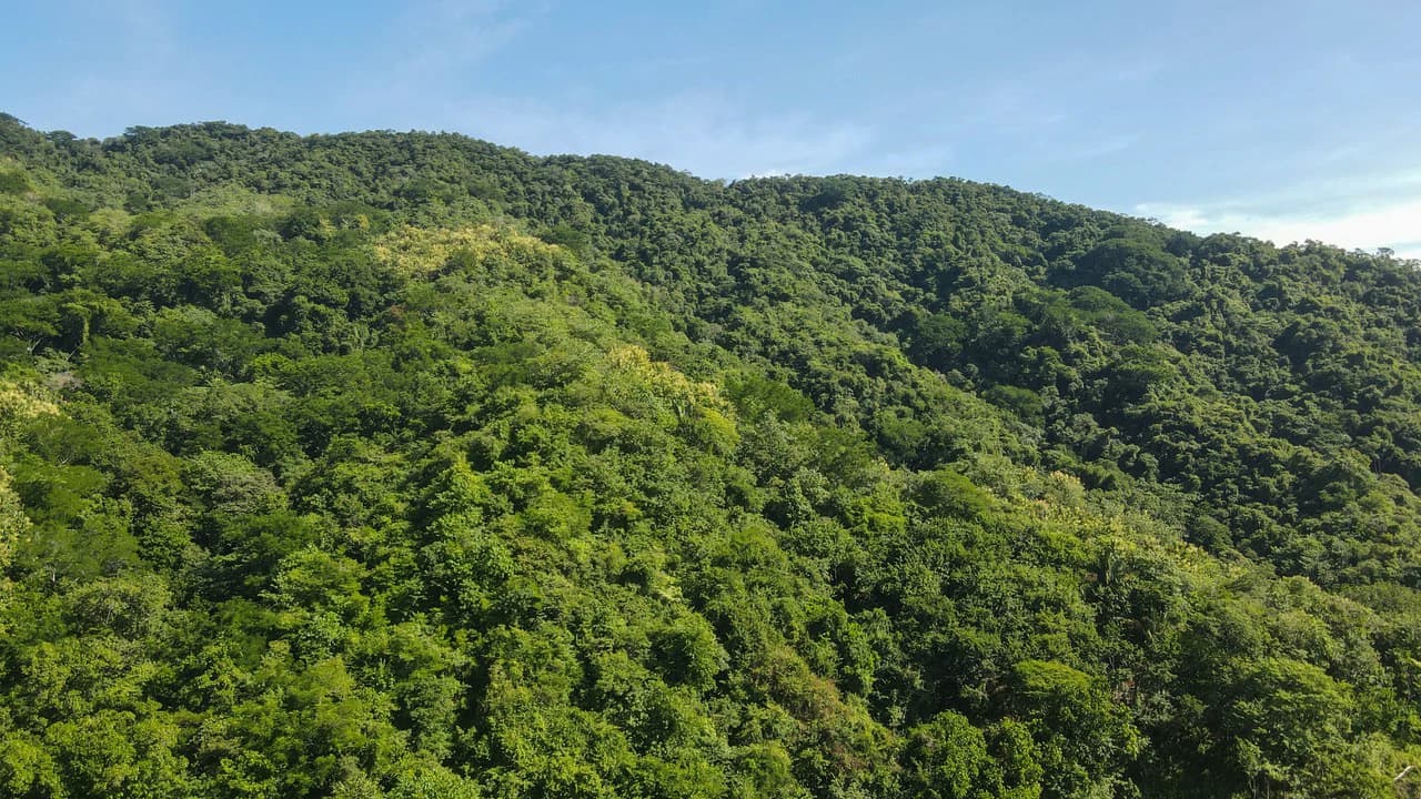 Farm for sale Bejuco Nandayure Guanacaste Costa Rica