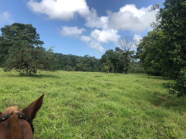 Hot and Cold Thermal Springs for Sale – Beautiful Property in Dos Ríos, Alajuela with Excellent Commercial Potential - photo 55