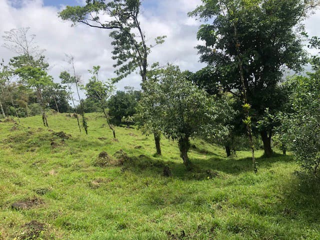 Hot and Cold Thermal Springs for Sale – Beautiful Property in Dos Ríos, Alajuela with Excellent Commercial Potential - photo 57