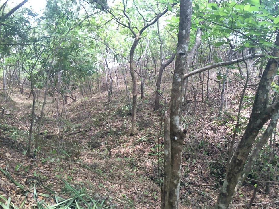 Finca grande: Economic Building property for sale in El Salto, with private access to the surrounding beautiful nature with own river - photo 12