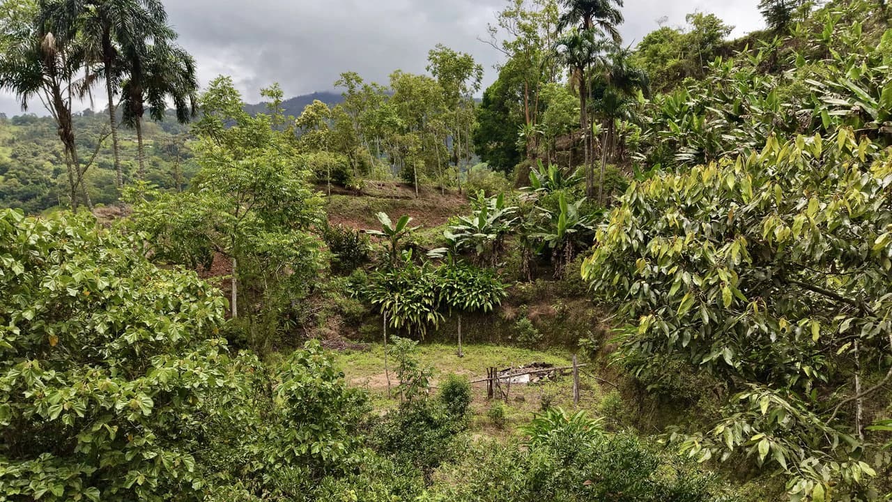 Countryside Home Construction Site For Sale in San Isidro del General - photo 4