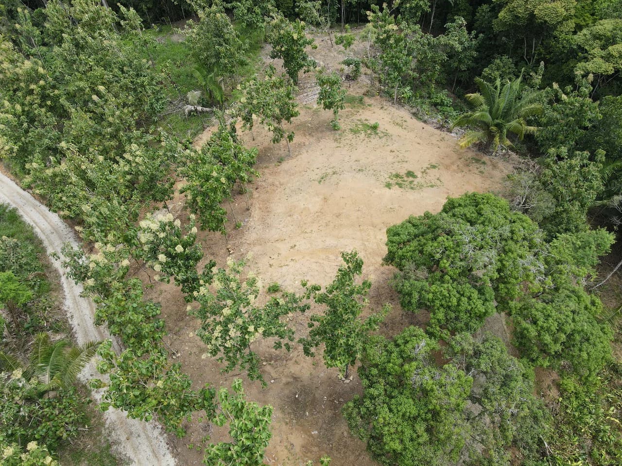 River Frontage Lot For Sale in Costa Rica Residential & Commercial Zoning - photo 9