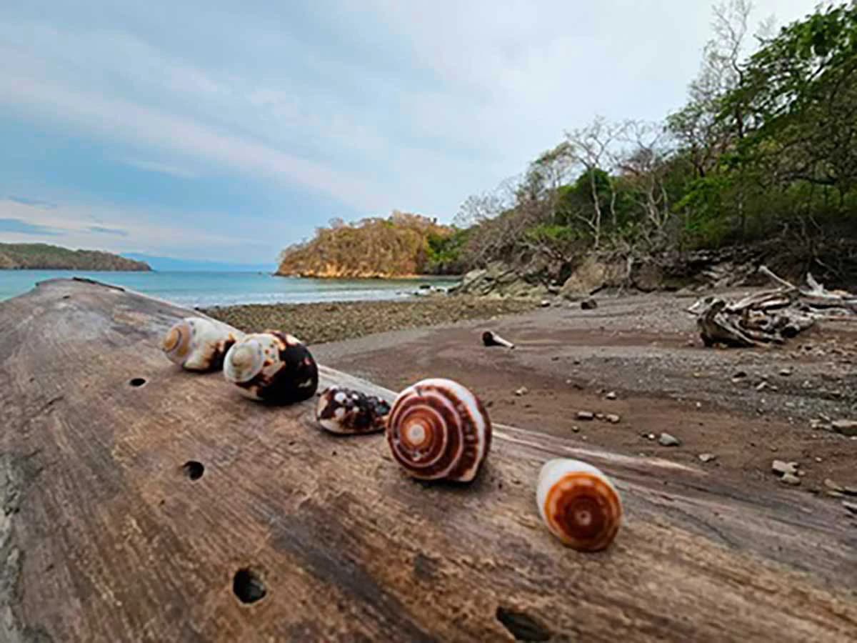 ID 4199:: Income-Generating Investment Opportunity in Playa Órganos. Finish the Vision Your way! - photo 6