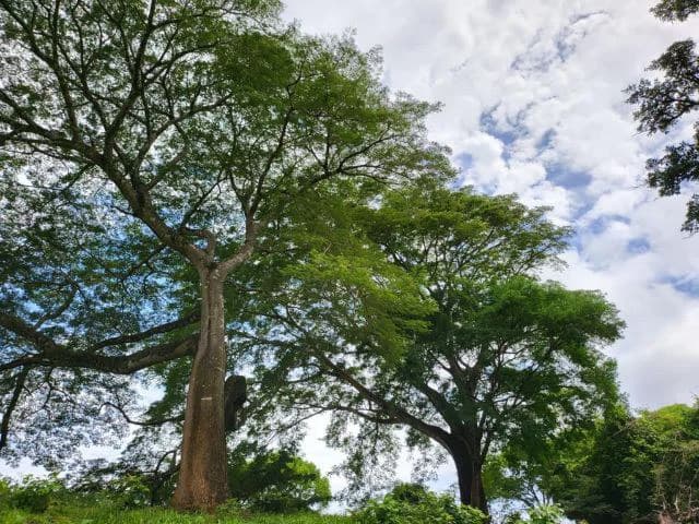 Charming property for sale in Nueva Guatemala with stunning views of the Tenorio Volcano and the beautiful green valleys - photo 15