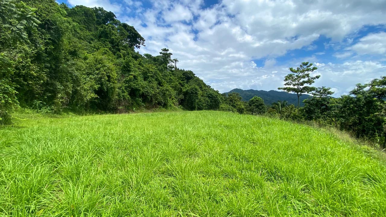 Ocean View Lot for Sale Guanacaste Costa Rica San Miguel Beach Tittled - photo 7