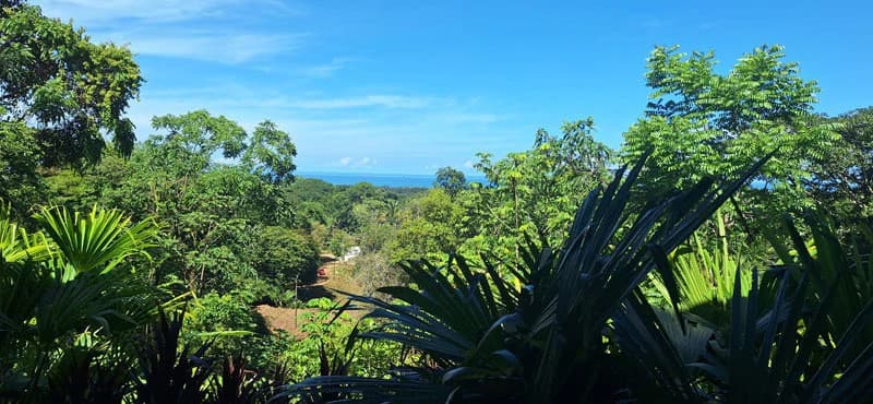 Ocean-View Retreat in Jardines de Morete, Uvita - photo 23
