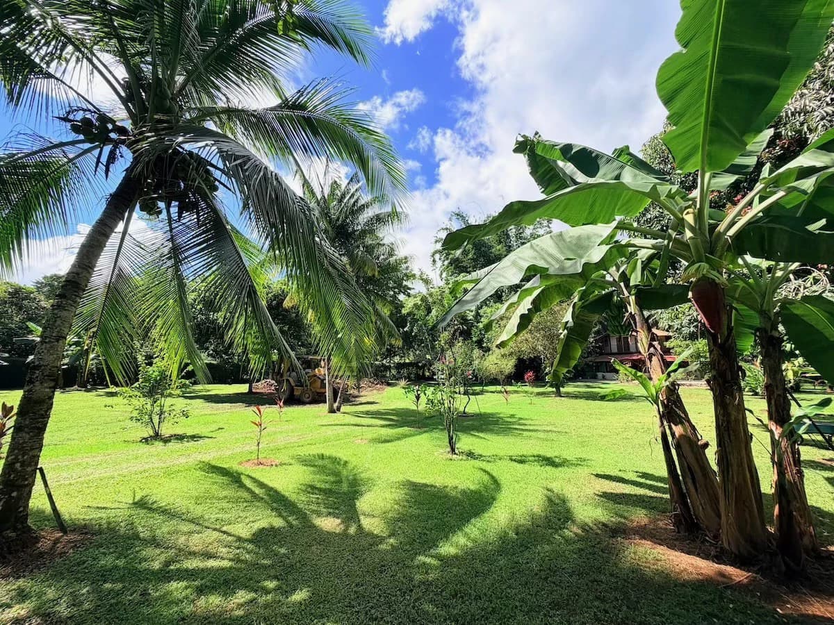 Osa Peninsula Turnkey Property Near Golfo Dulce Beach - photo 28