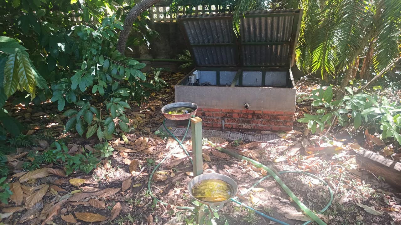 Private Home with Apartment, Pool, and Tropical Garden for Sale in Playas del Coco - photo 39
