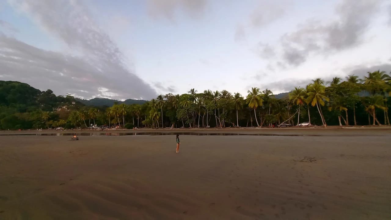 Front Row Mixed Use Property with an Easy Walk to Dominicalito Beach - photo 10